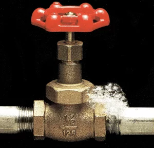 header-LT-mit-proof-check-300×289-1
